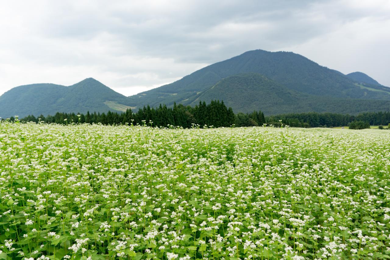 Bed and Breakfast Aibiya Yamanouchi  Exterior foto